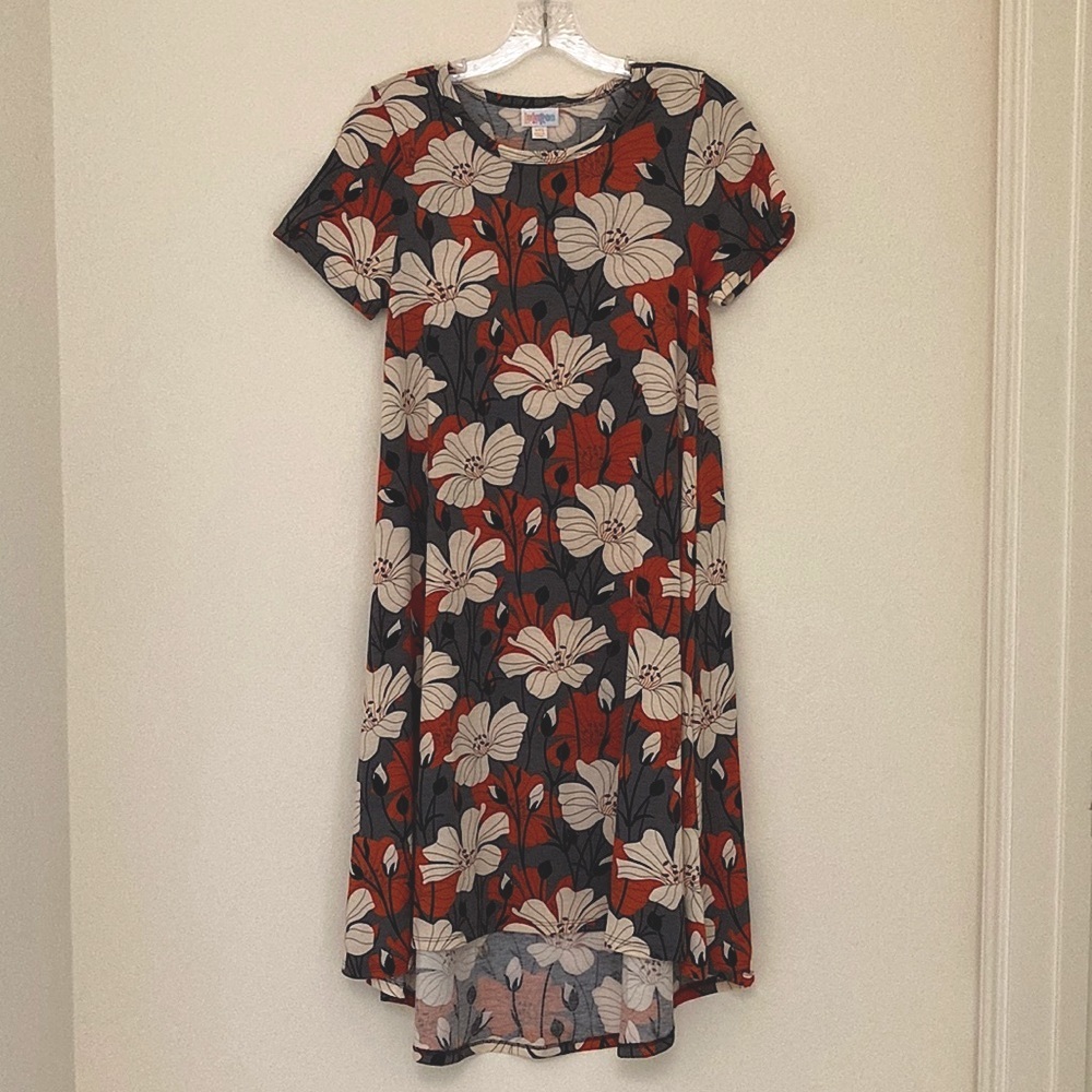 LuLaRoe Carly Floral Swing Dress Size XXS Rust Cream Oversized